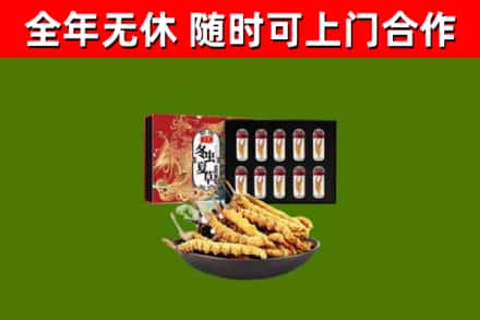 解放区烟酒回收冬虫夏草礼盒.jpg